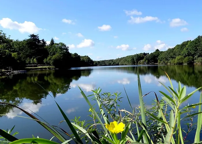 Restaurant Logis Cote 사브네