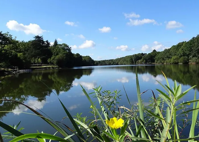 Restaurant Logis Cote 호텔 사브네